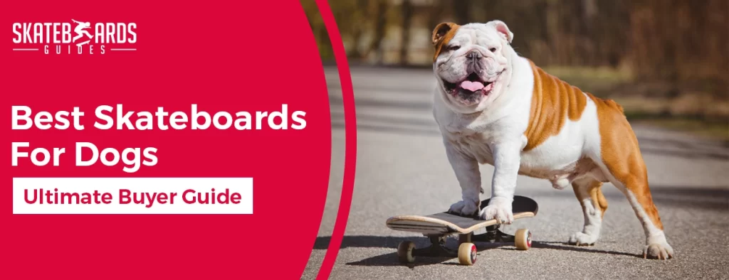 Best skateboards for dogs